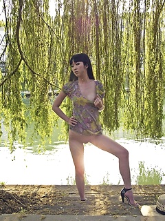 WANG A: YANGTZE by THOMAS HODGES by Met Art