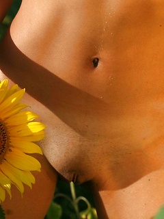Funky photo-session with sunflowers by Amour Angels