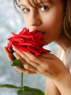 Alisa - Rose Petals by MPL Studios